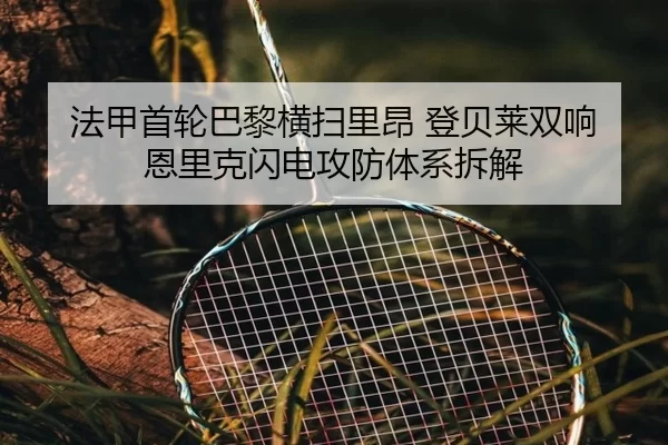 fa-jia-shou-lun-ba-li-heng-sao-li-ang-deng-bei-lai-shuang-xiang-en-li-ke-shan-dian-gong-fang-ti-xi-chai-jie-1-848.jpg
